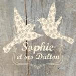 Sophie-et-sesDalton-pochette-les-oiseaux-front